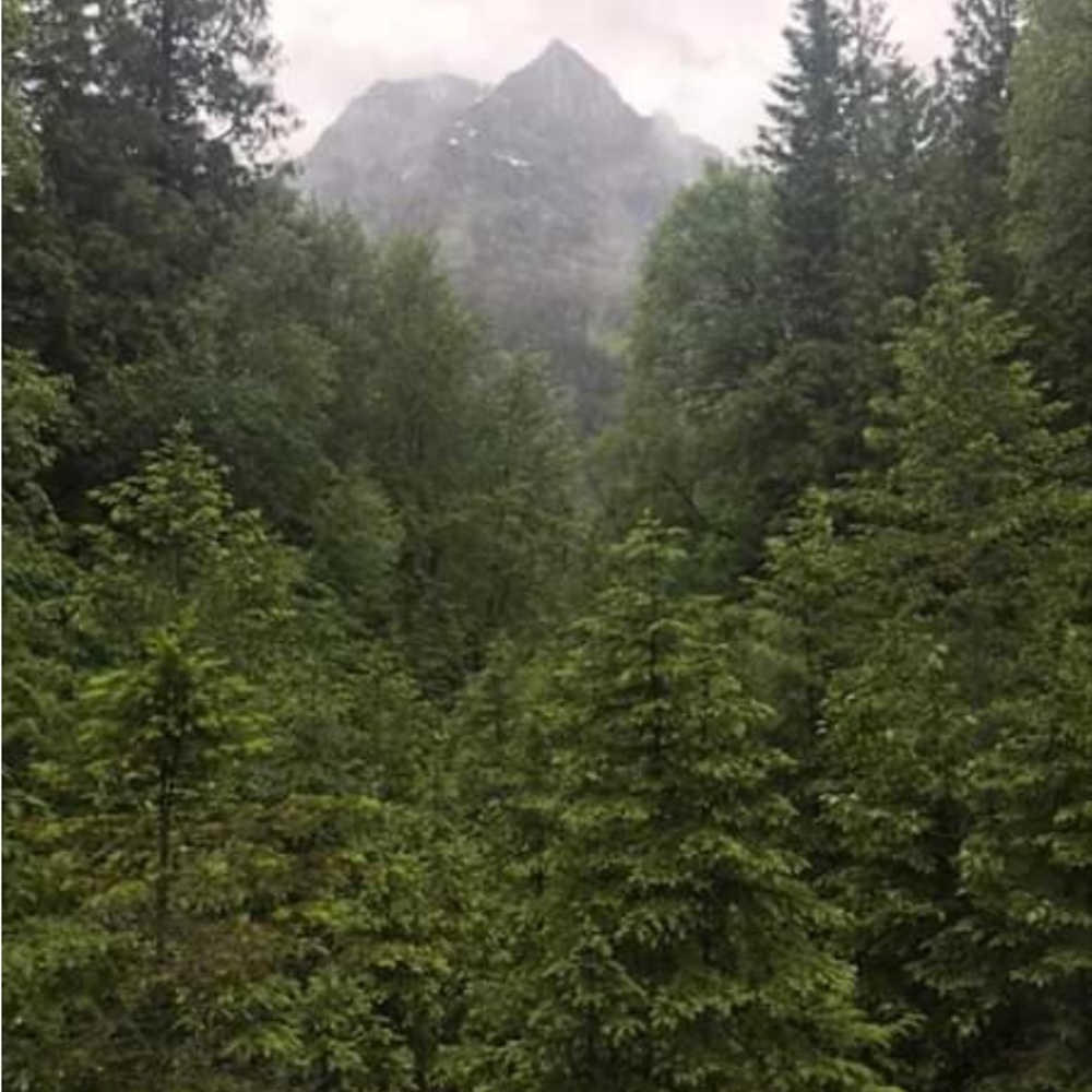 Meet your Posher, Robin